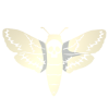 Guild Icon